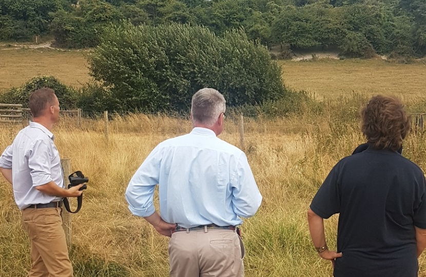 In search of Yellowhammers