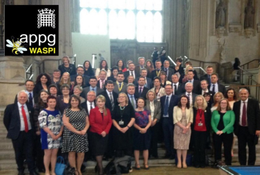 New WASPI APPG website launches