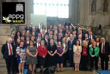 New WASPI APPG website launches