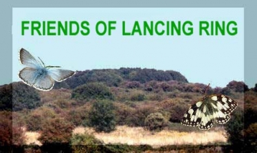 Friends of Lancing Ring Spring Newsletter