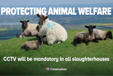 CCTV in Slaughterhouses