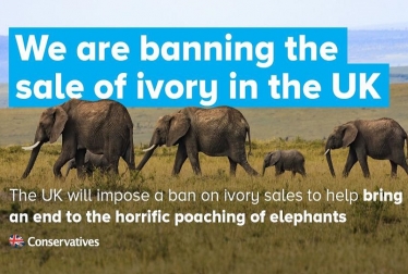 Banning the sale of ivory in the UK