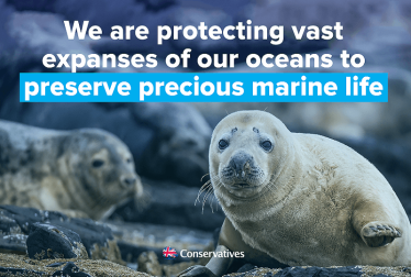 Preserving our precious marine life