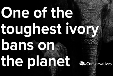 Introduction of ivory bill boosts fight against elephant poaching